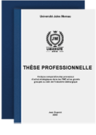 Services-impression-these-professionnelle
